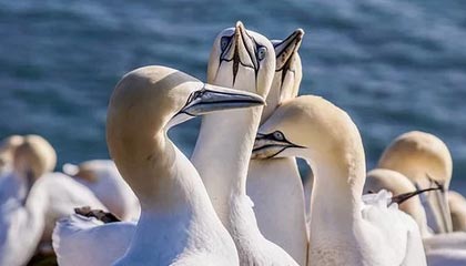 祁东伴游，定制QQ：3494206190微信：act1322